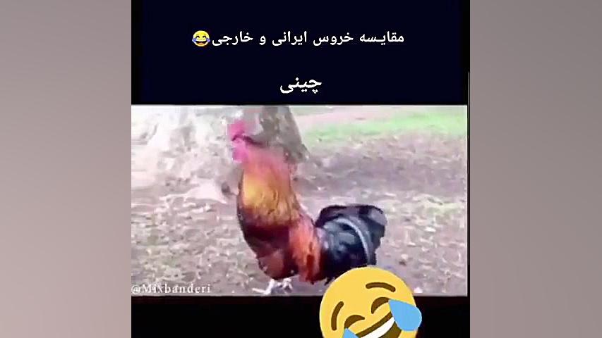 هههه خدا