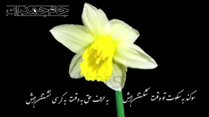 سرود آغاز امامت امام زمان عج