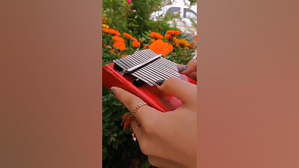 این ویدیو آرامش خاصی داشت