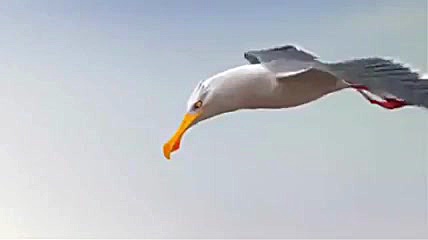 تعاون و همیاری