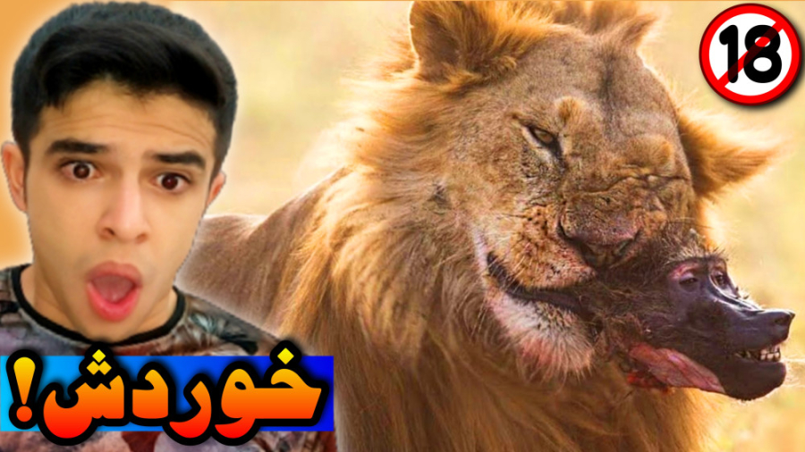 زمانی که حیوانات با حریف گنده...