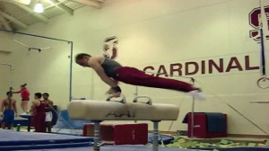 Stanford Men s Gymnastics 2008...