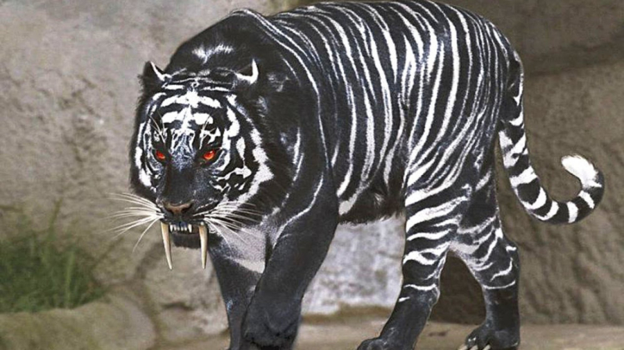 20 حیوان با الگوهای رنگی غیرمع...