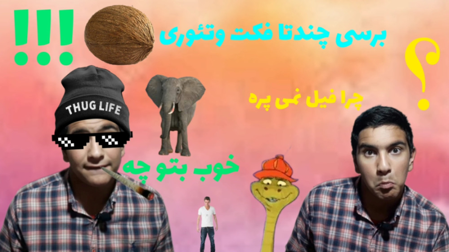 تن فیلسوفارو تو قبر لرزوندم