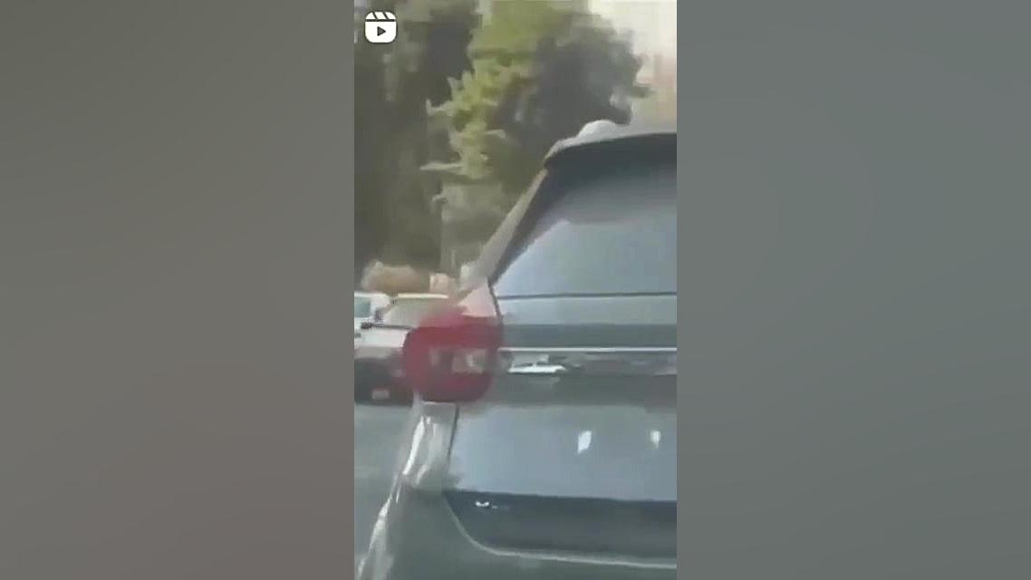 پاسخ خنده دار یک زن به شروین!