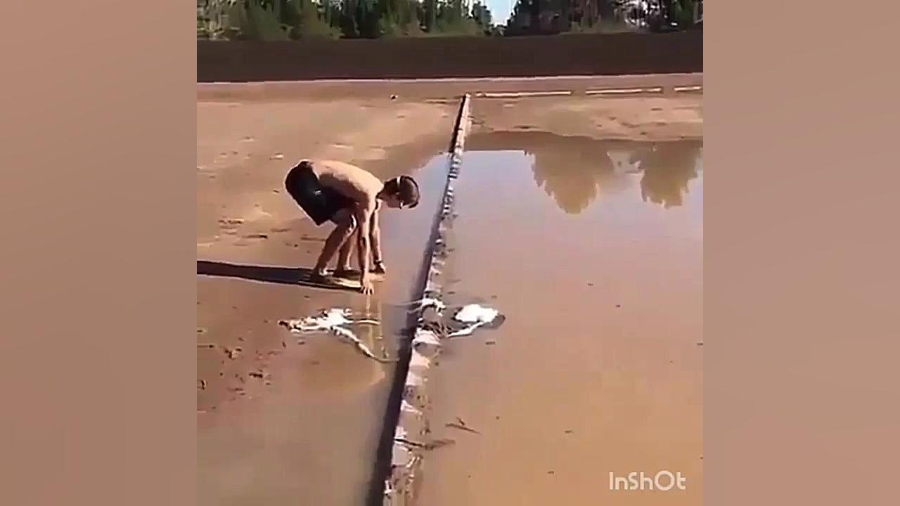 فیلم طنز خنده‌دار حتما ببنید