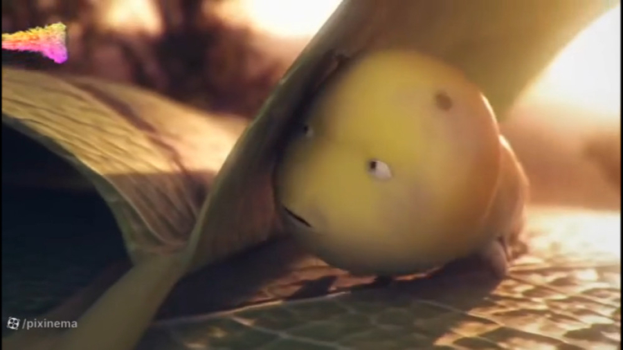 انیمیشن کوتاه &quot;کرم مگس ان...