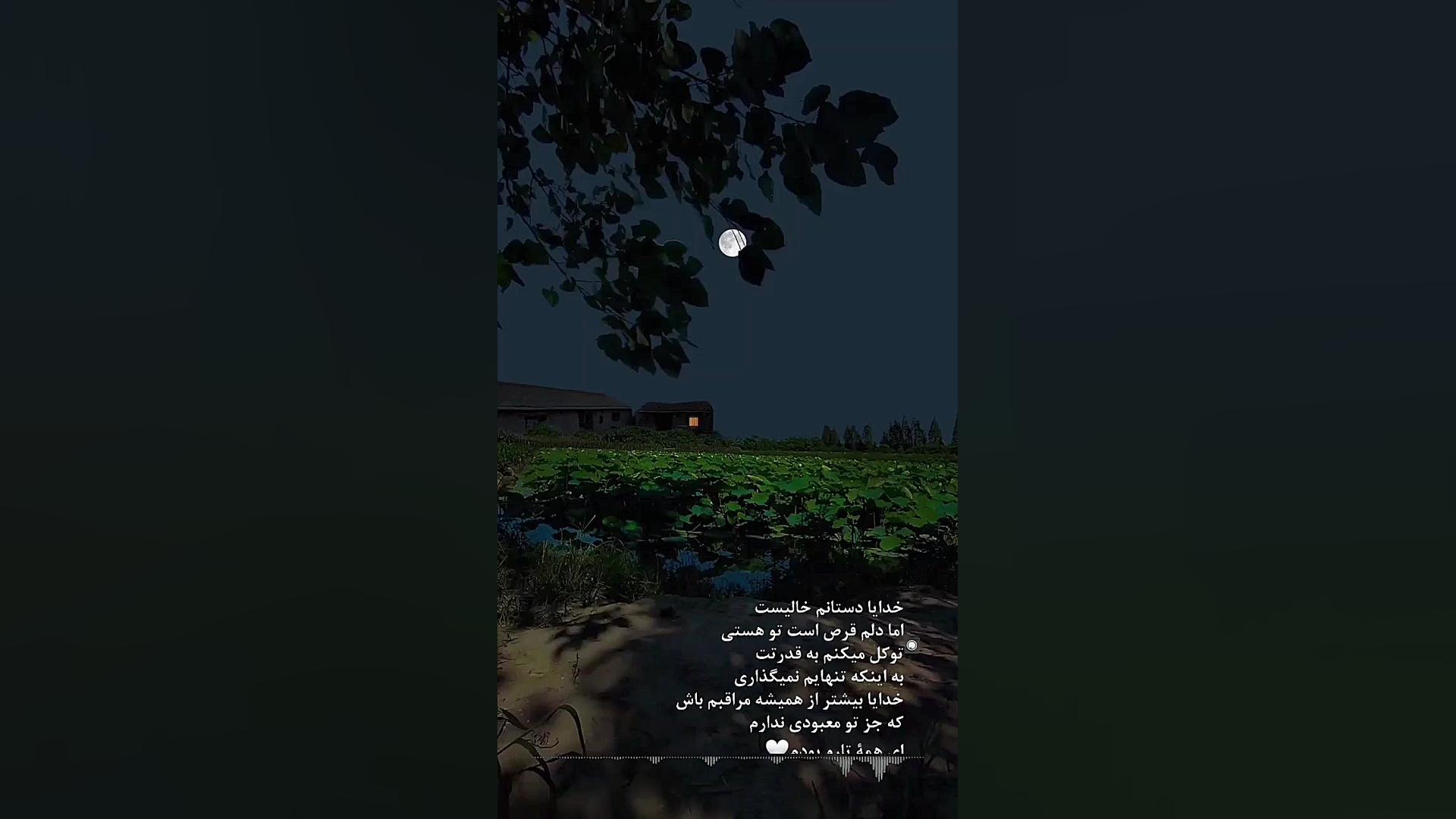 استوری احساسی و آرامش بخش ۱