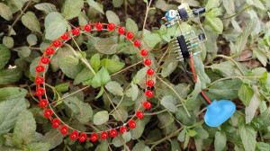 آموزش ساخت رقص نور دایرهای بس...