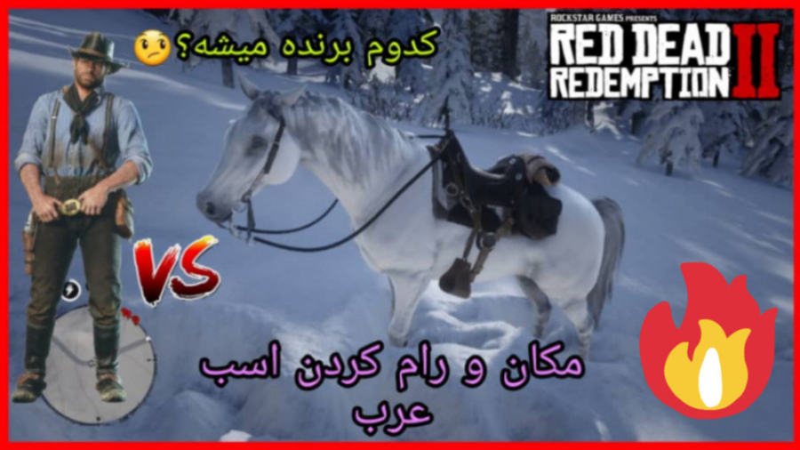 مکان اسب سفید عربی در ردد 2