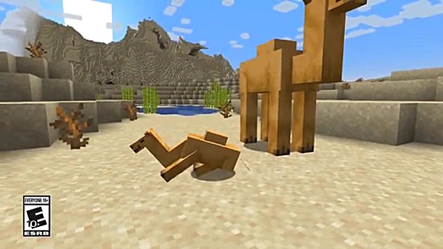 ماب جدید ، شتر