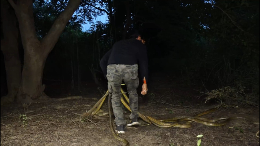 یاخدا رفتن مارگير توي چاه آب ر...