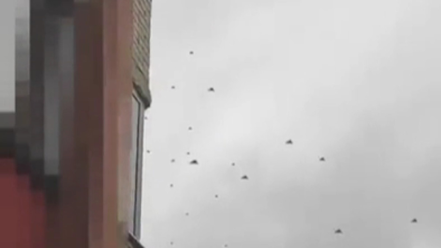 بسیار ترسناک!!! ده ها شاهد 136...