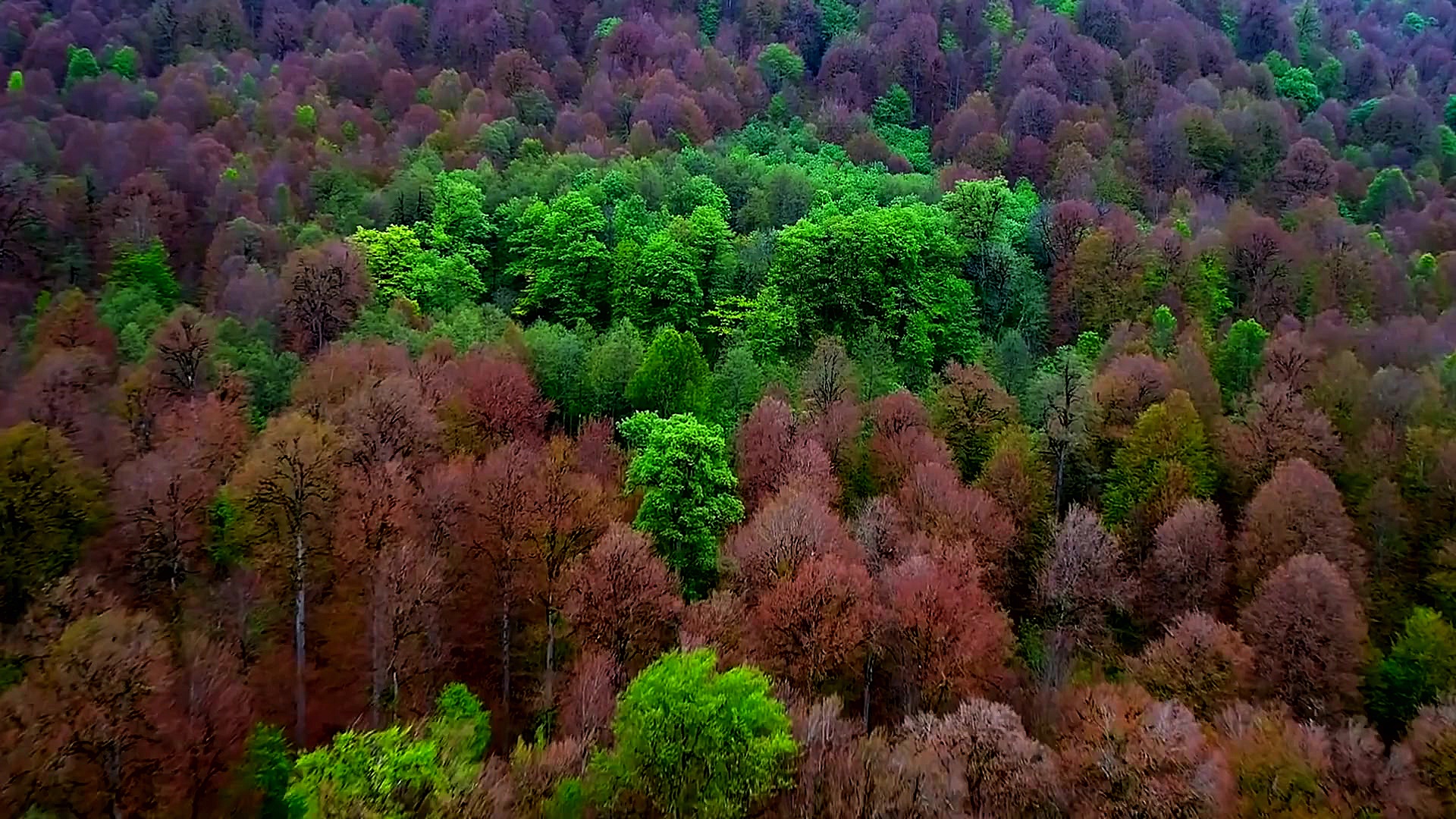 دعا در هنگام سختى و اندوه