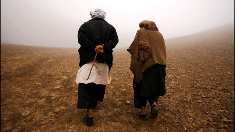 سید جواد ذبیحی  علی گویم علی ج...