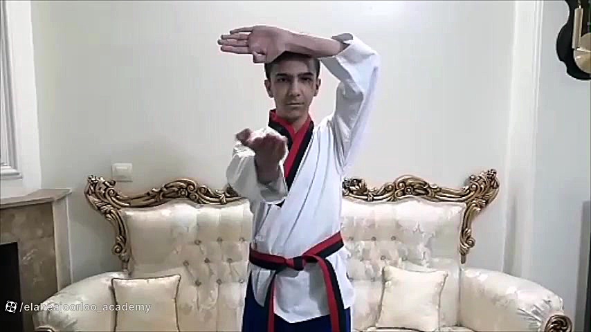 آموزش تکنیک های فرم ۴ تگوک سا...