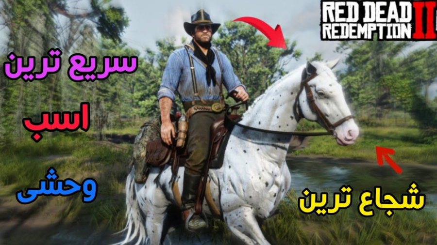 مکان بهترین اسب های رد دد دو