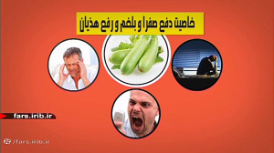 خواص فراوان " کدو "...