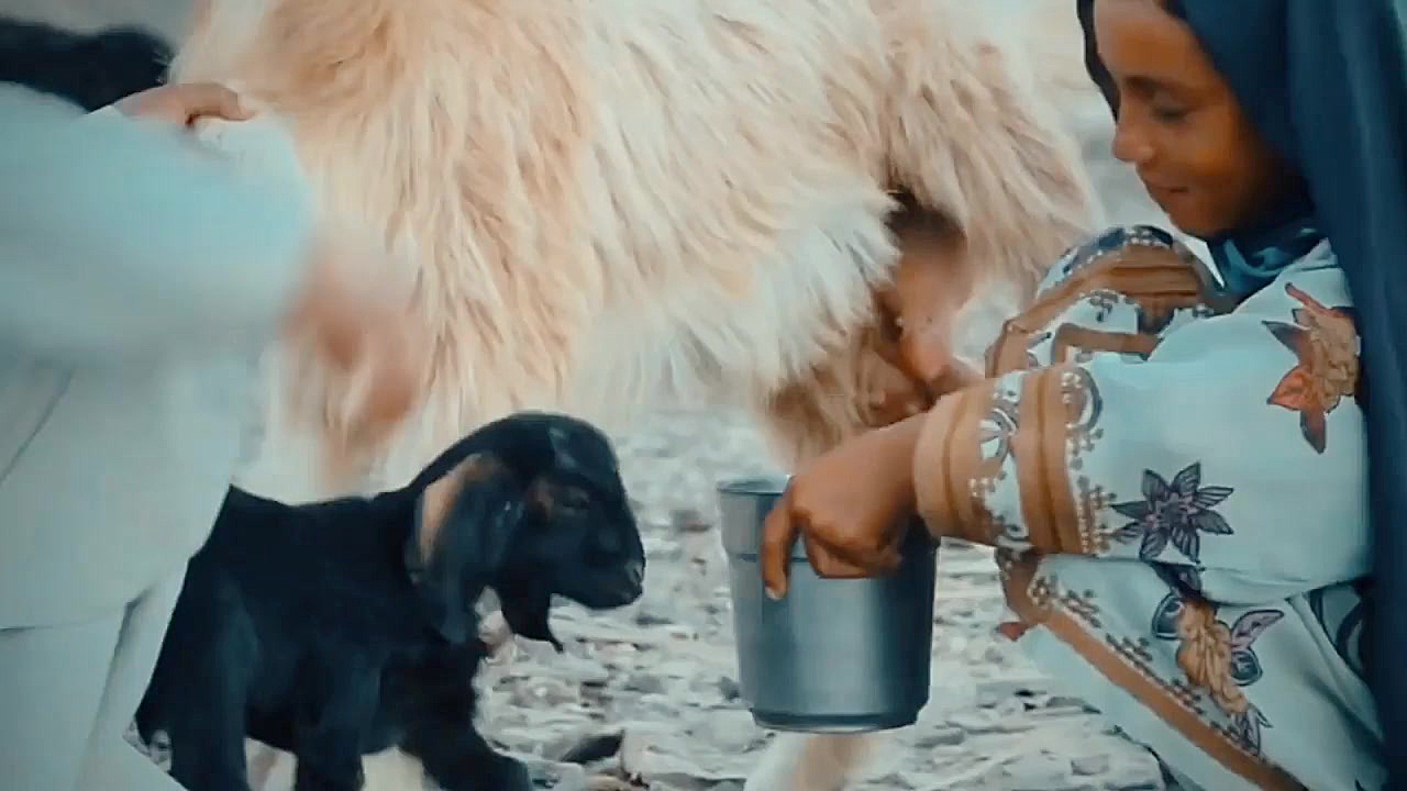 دزدی عیب است