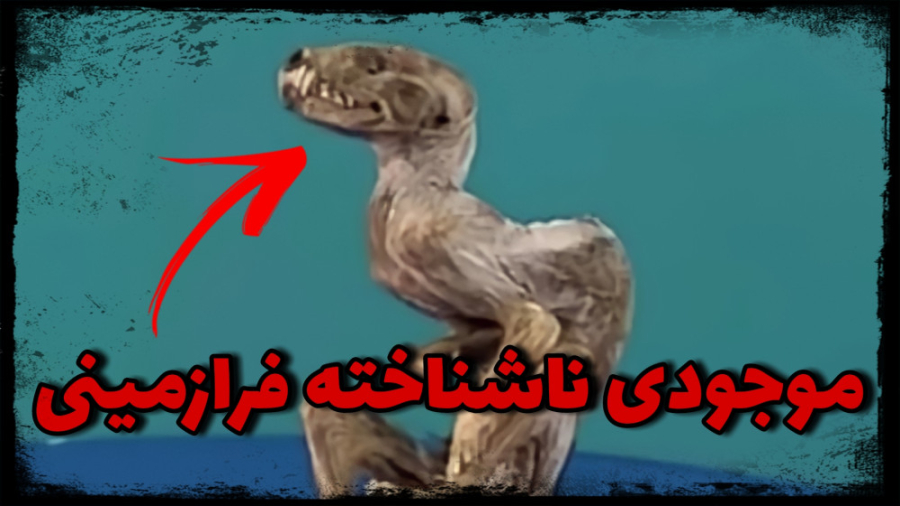 کشف موجود ناشناخته فرازمینی |...