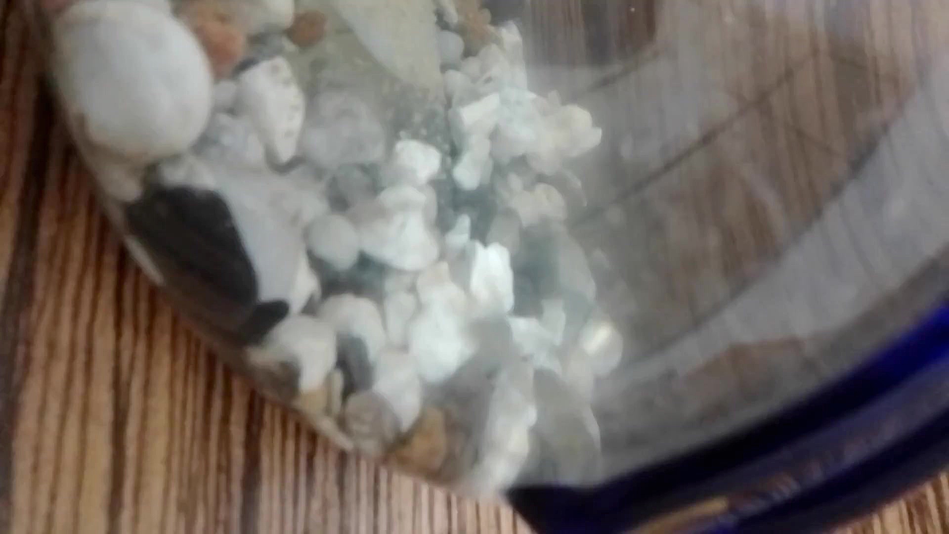 اولین ویدیو