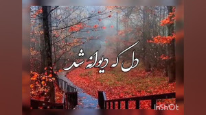 تو چــــه جـــذابی....