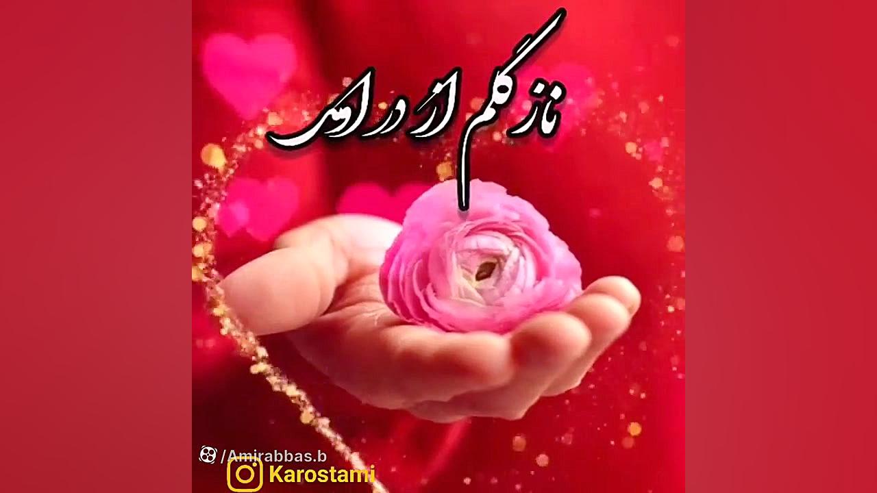 کلیپ عاشقانه || دل بود که دلبر...