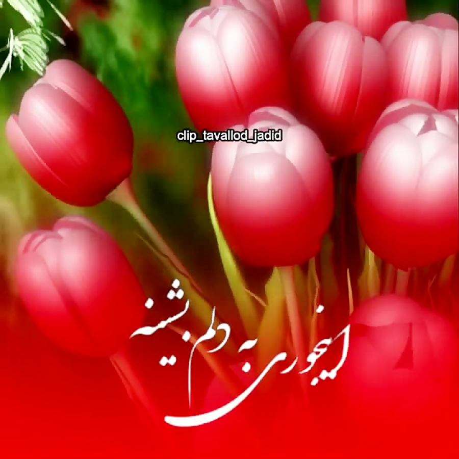 کلیپ عاشقانه || کی میتونه مثل...