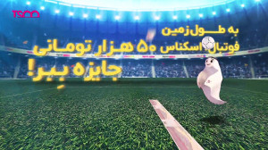 قرعه کشی بزرگ تسکو در جام جهان...