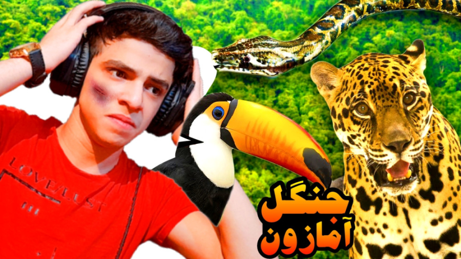 این جنگل به اندازه 4 تا ایرانه...