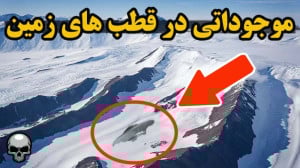 آیا موجودات فضایی در قطب های ز...
