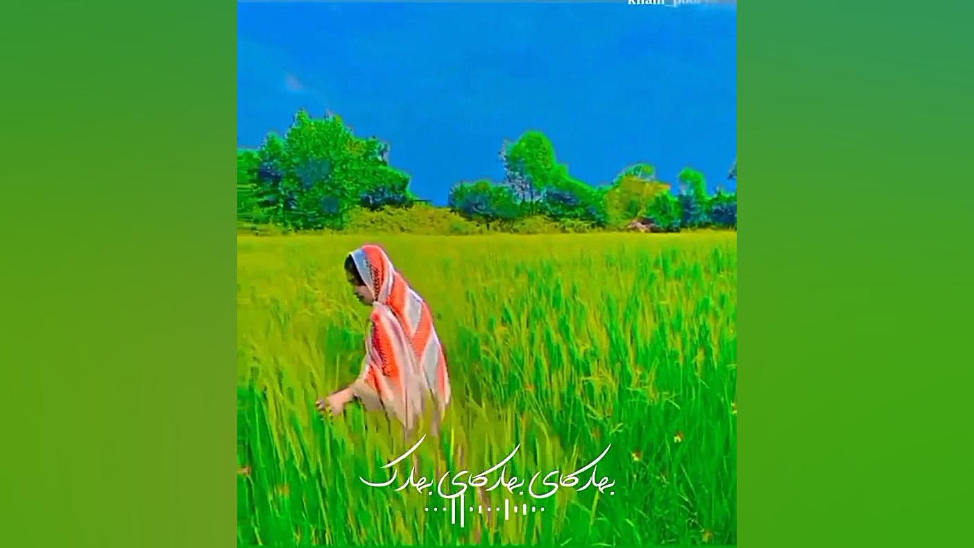 خلیل دادخدایی