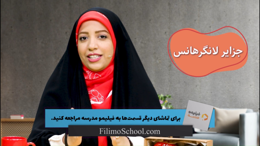 علوم پایه هشتم  تنظیم قند خون