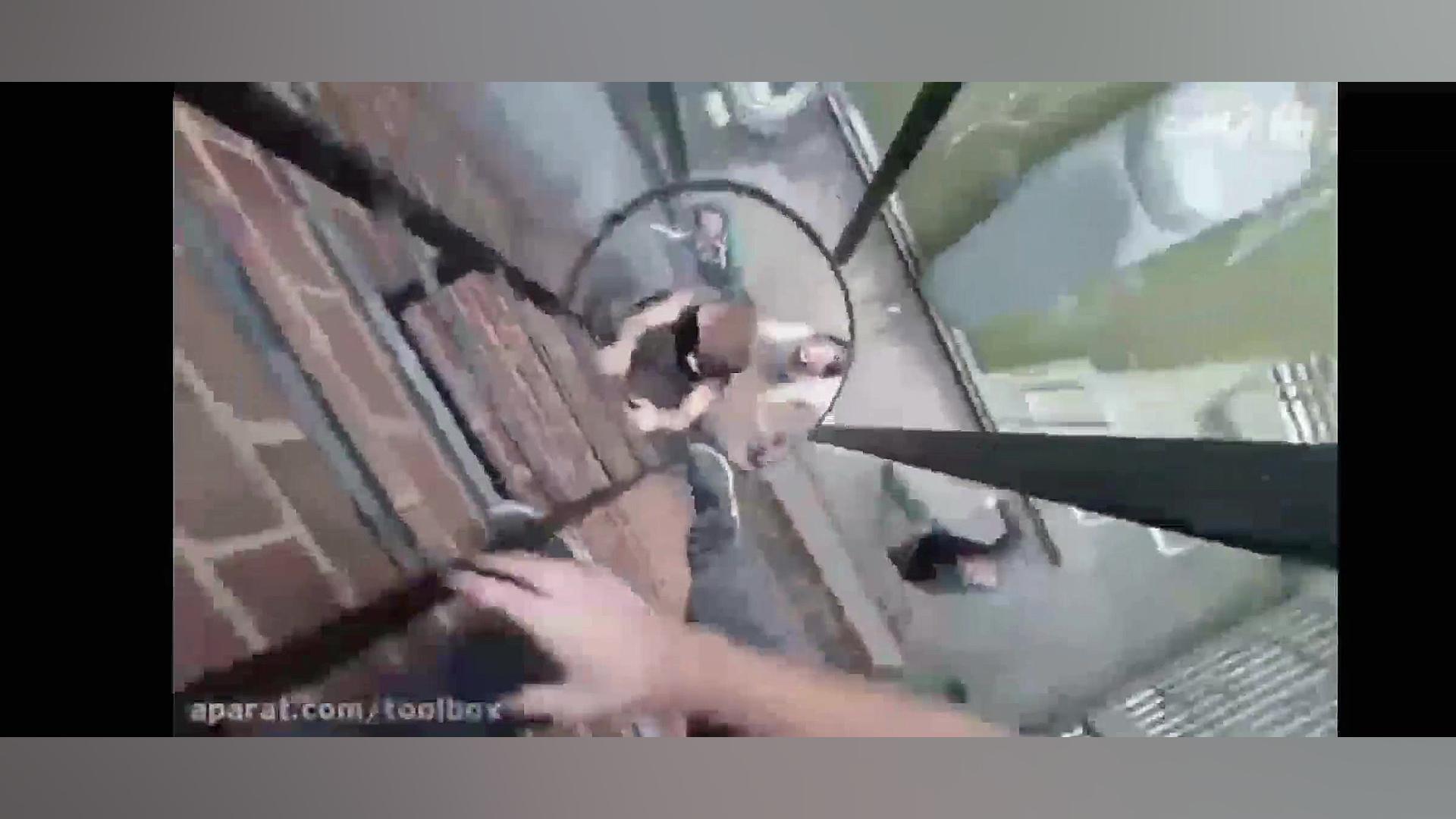 فرار از رزامبی پار کور