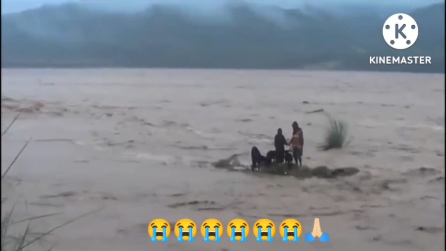 سیل پاکستان: فاصله بین مرگ و ز...