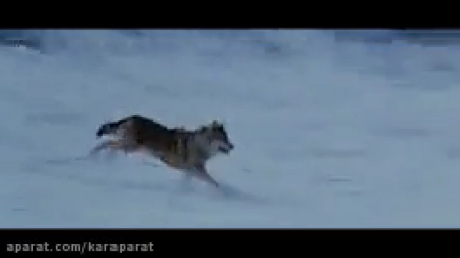 فیلم سینمایی تک تیرانداز اکشن...