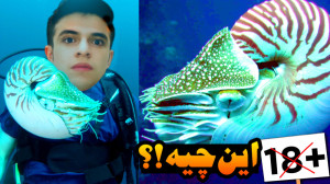 این هیولا هنوز زنده هست !؟ موج...