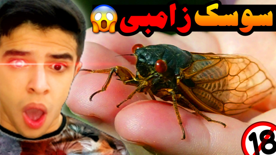 سوسک زامبی واقعا وجود داره !؟...