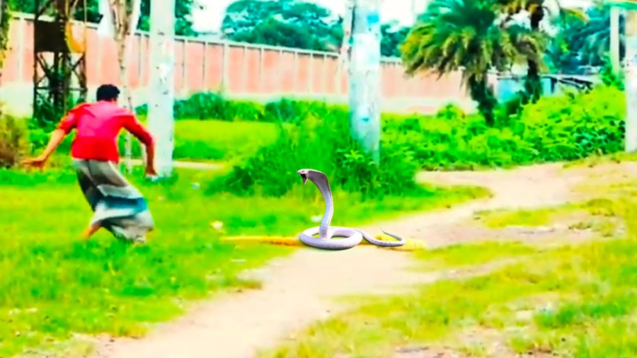 کلیپ خنده دار جدید | مار بزرگ...