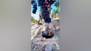 شراب ده ساله خرابتم امشو غلامع...