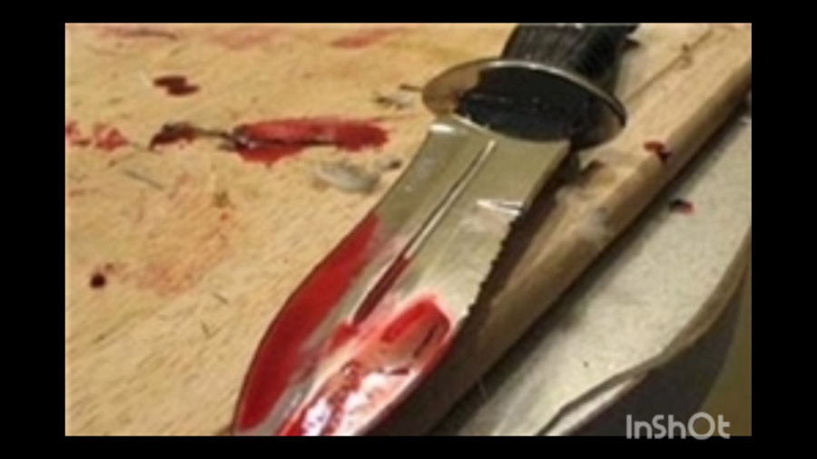 کلیپ دعوا و قمه کشی بین شاخ ها...