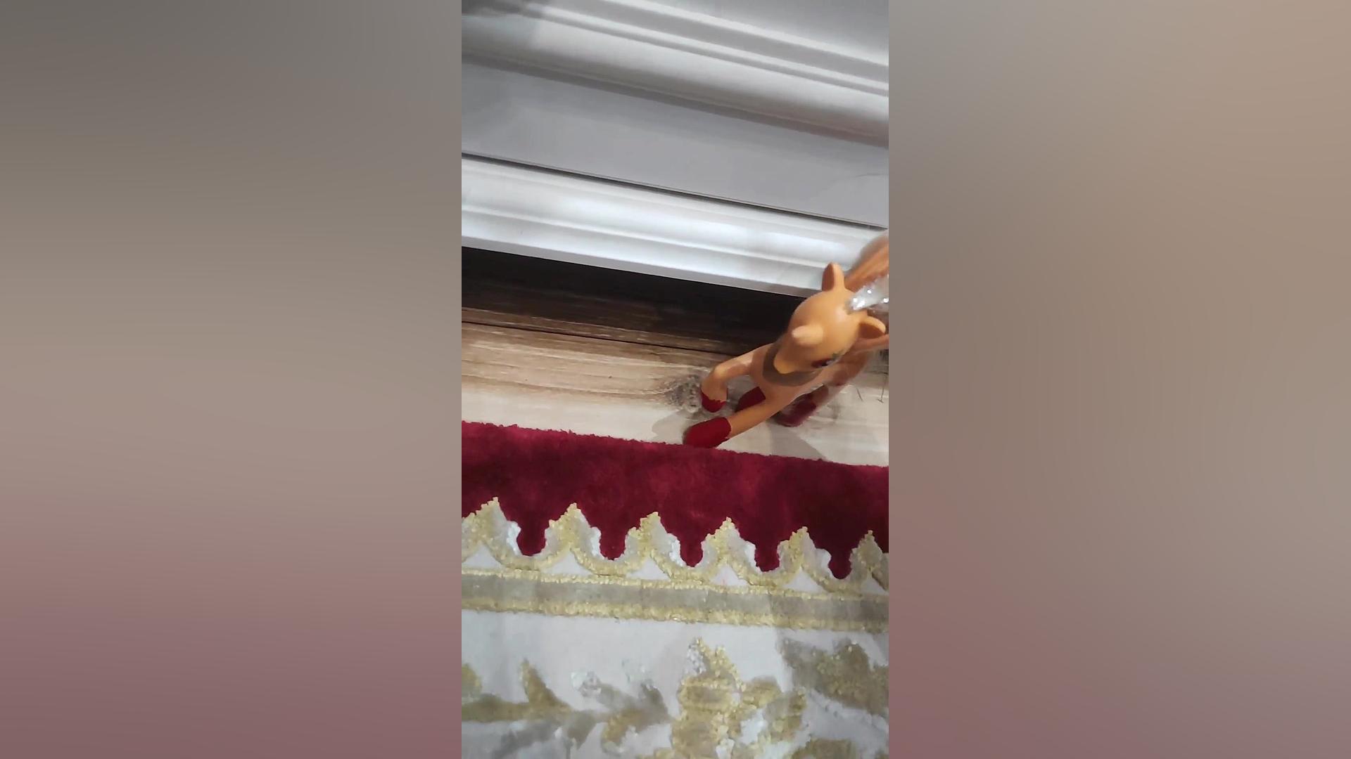 ویدیو های صنم پونی عالی هست