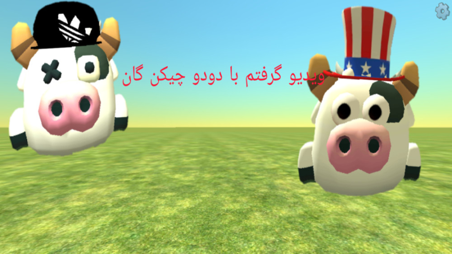 ویدیو گرفتم با دودو