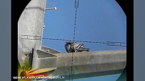 شکار با تفنگ بادی کریکت