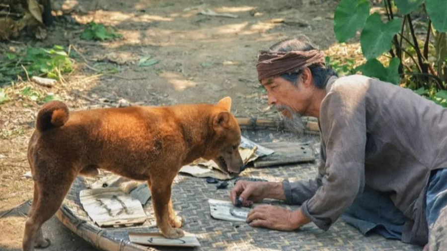 فیلم سگ پیرمرد The Old Man& 03...