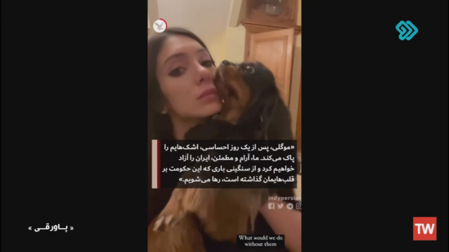 طنز  سگ بازی؛ خانواده پهلوی که...