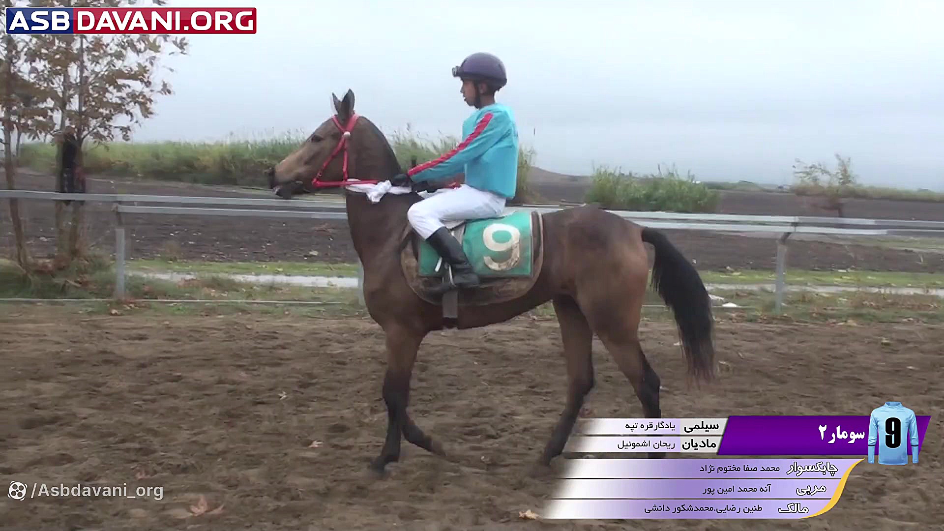 قهرمانی جان وحدانی  مبتدی ترکم...