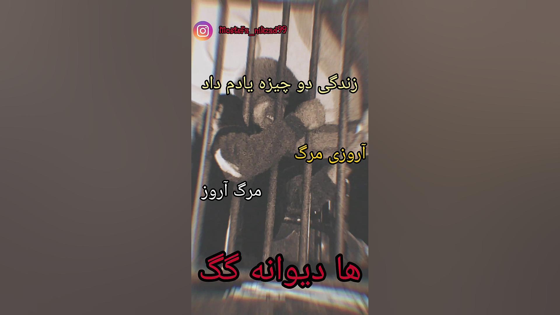 تیک تاک ایرانی افغانی جنگی ترک...