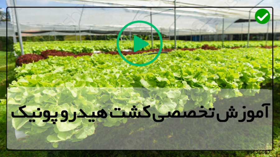 دانلود فیلم آموزش هیدروپونیک ک...