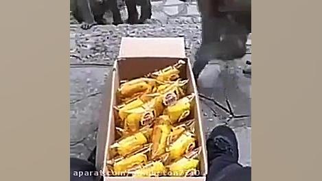 خدا بیا مرزه هرکی میاد ومیره د...